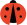 Logo Dandev